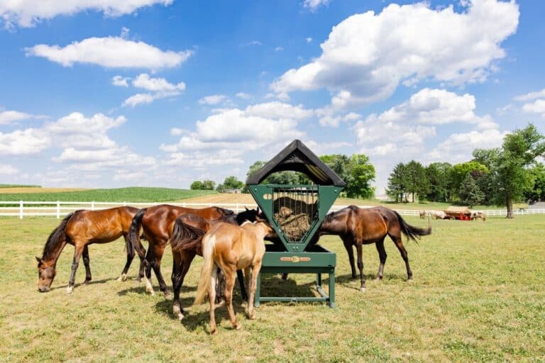 best horse feeders in PA