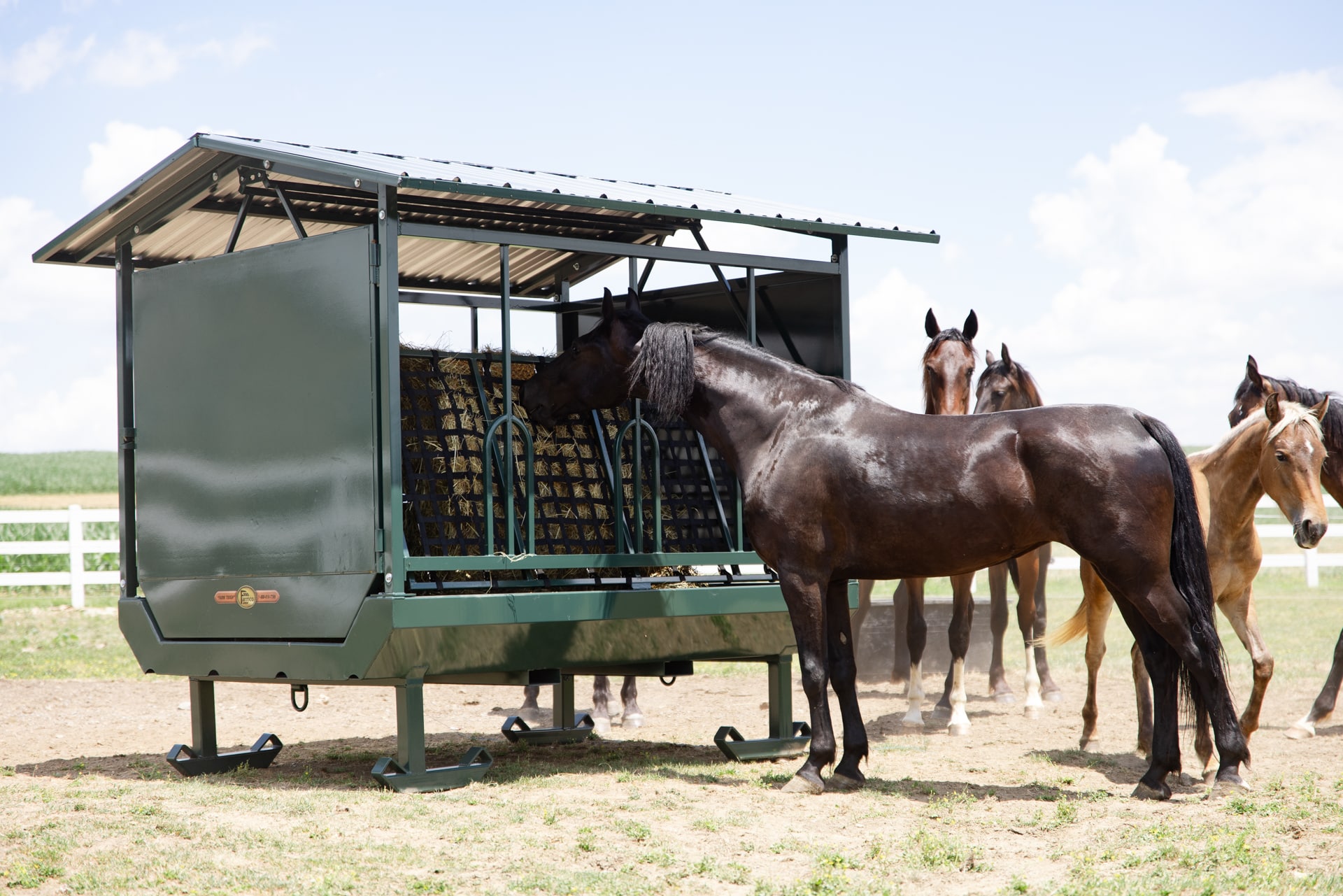 A group of horses gathered around a large green metal feeder on a sunny day. The feeder is covered and enclosed with a netting system that holds hay inside, allowing the horses to eat. One dark horse is actively feeding, while others stand nearby in an open field with a white fence and a clear sky in the background.