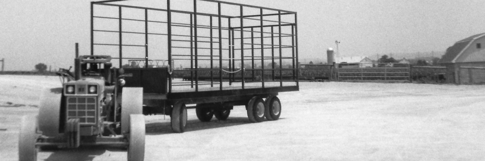 become a cattle feeder distributor